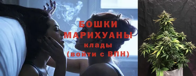 дарнет шоп  Александровск  Марихуана Amnesia 